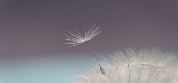 Zuerst säen, dann ernten! Spannende Entwicklungen bei MustGrow, Bayer und K+S – wer hat die besten Karten?