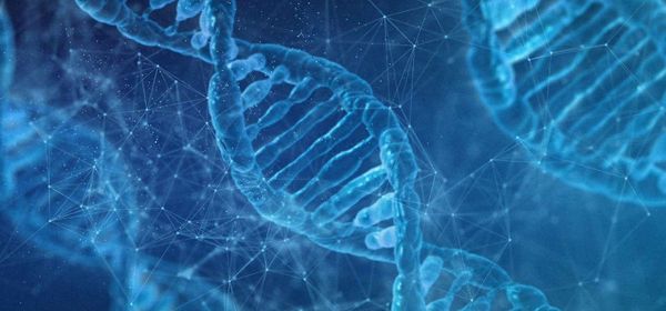 BioNTech sucht den Durchbruch mit der Krebs-Pipeline, DroneShield kämpft gegen Shortseller und Cardiol Therapeutics visiert den Rebound an!