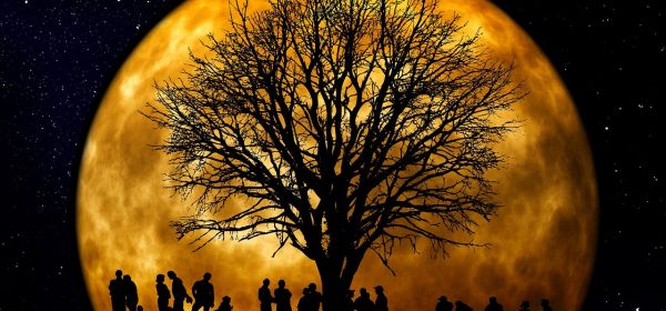 Auf und nieder: Verdoppler und Halbierer unter sich! BYD, VW, DroneShield und Power Metallic Mines