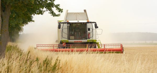 Bayer, MustGrow Biologics und Nutrien: Wer den Welthunger besiegt, erobert den Agrarmarkt