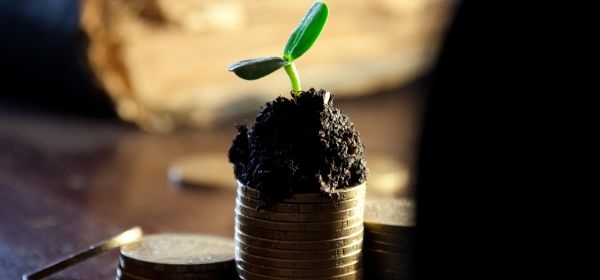 Die geheime Formel für stabile Erträge: BASF, WashTec und Volkswagen