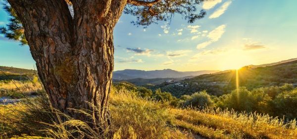 D&uuml;nger-Desaster: Lieferketten-Kollaps bedroht Bayer, Nestl&eacute;, MustGrow und K+S! Wo liegt die Mega-Chance f&uuml;r Investoren?