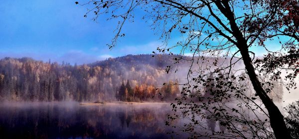 Jetzt geht es um die kritische Infrastruktur &ndash; Power Metallic Mines liefert Traumergebnisse, SAP und Oracle testen den Rebound