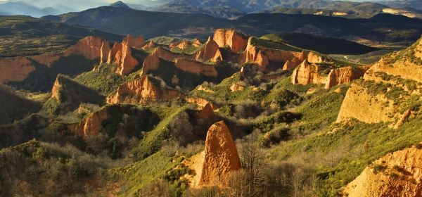 Trump schließt Frieden – vielleicht? Sehr gute Gewinnaussichten bei BYD, Pasinex Resources und DroneShield