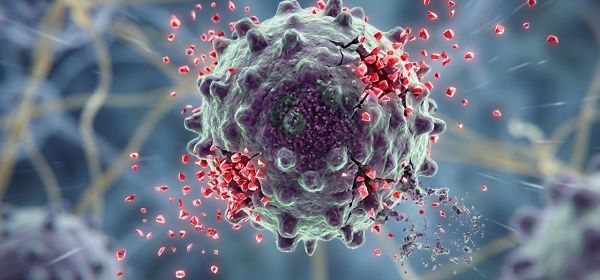 &Uuml;bernahmewelle bei Biotechs: Eli Lilly, Vidac Pharma und GSK im Aktiencheck!