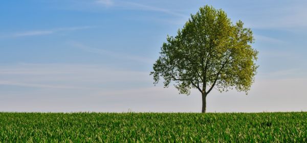 Vistra, Zefiro Methane, Tetra Tech - Energie und Infrastruktur bleiben Wachstumstreiber
