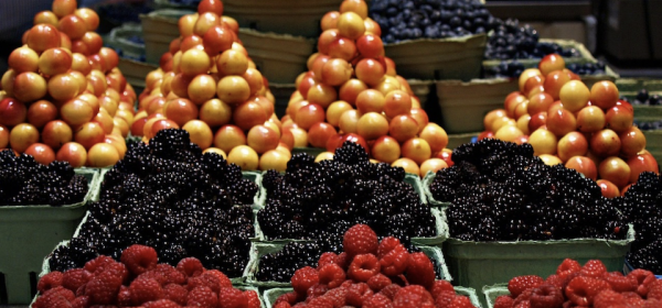 Vom Acker bis ins Supermarktregal: MustGrow, Sprouts und Hain Celestial machen Appetit auf Bio