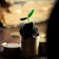 Die Aussch&uuml;ttung an Aktion&auml;re einer Aktiengesellschaft wird Dividende genannt.